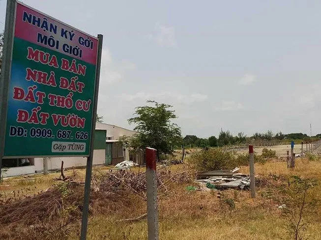 Giá Nhà Đất Cần Giờ (Cập Nhật Tháng 5/2025)