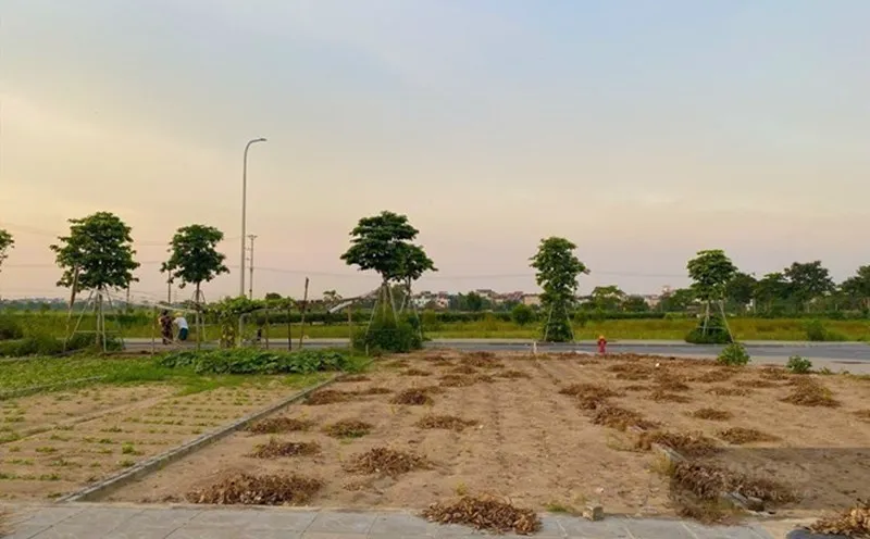 Đất Nền Vùng Ven – Cơ Hội Lớn, Nhưng Cần Thận Trọng
