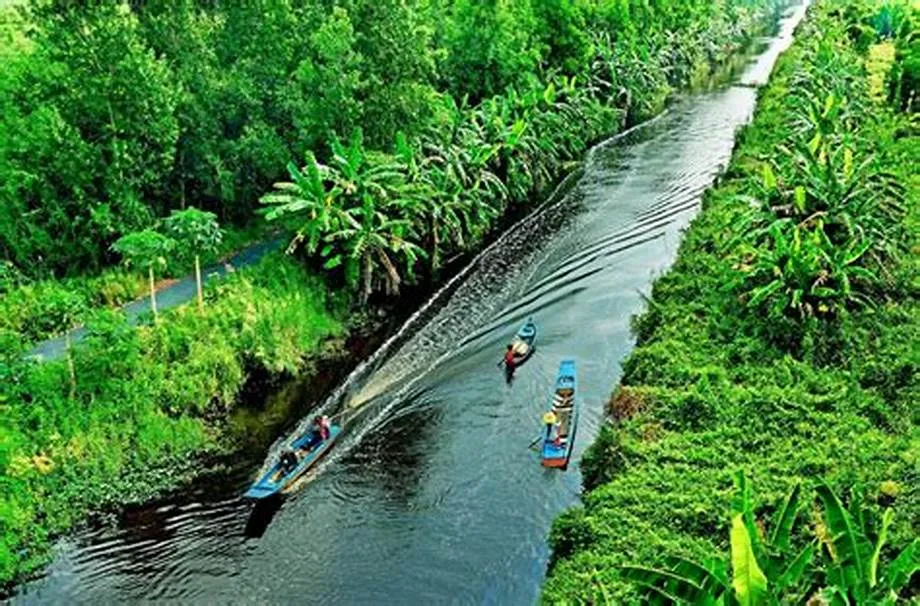 Cà Mau – "Thỏi Nam Châm" Đang Thu Hút
