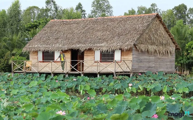 Miền Tây – Vùng Đất Hứa Cho Nhà Đầu Tư Thông Thái